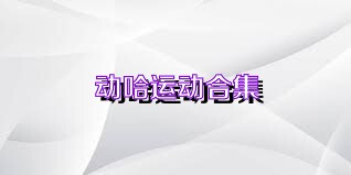 动哈运动合集
