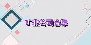 矿业公司合集