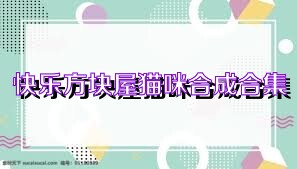 快乐方块屋猫咪合成合集