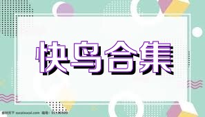 快鸟合集