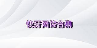 快牙网传合集