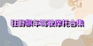 狂野飙车驾驶摩托合集