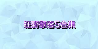 狂野飙客5合集
