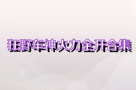 狂野车神火力全开合集