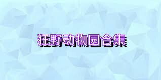 狂野动物园合集