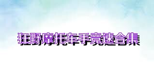 狂野摩托车手竞速合集