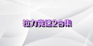 拉力竞速2合集