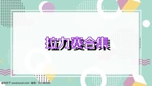拉力赛合集