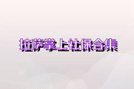 拉萨掌上社保合集