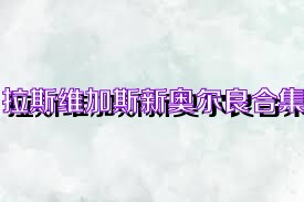 拉斯维加斯新奥尔良合集