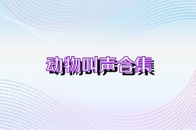 动物叫声合集