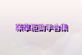 莱掌柜助手合集