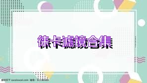徕卡滤镜合集