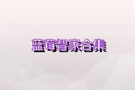 蓝莓智家合集