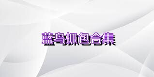 蓝鸟抓包合集