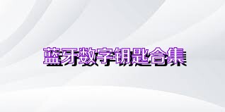 蓝牙数字钥匙合集