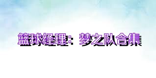 篮球经理：梦之队合集