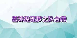 篮球经理梦之队合集