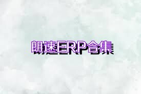 朗速ERP合集