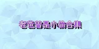 老爸曾是小偷合集
