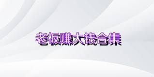 老板赚大钱合集
