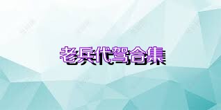 老兵代驾合集