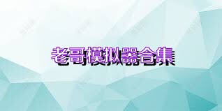 老哥模拟器合集