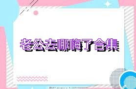 老公去哪嗨了合集