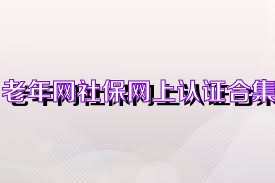 老年网社保网上认证合集
