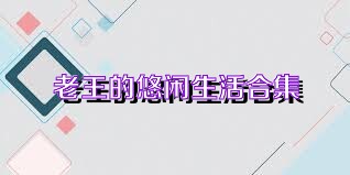 老王的悠闲生活合集