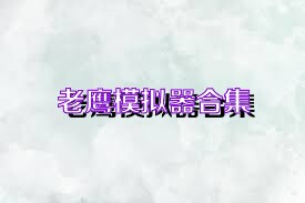 老鹰模拟器合集