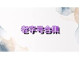 老字号合集