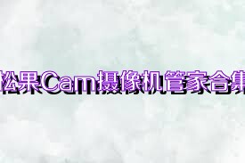 松果Cam摄像机管家合集