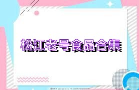 松江老号食品合集