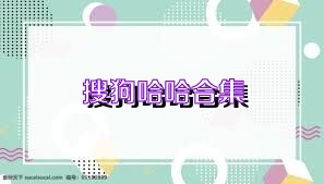 搜狗哈哈合集