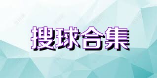 搜球合集