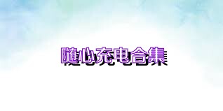 随心充电合集