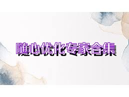 随心优化专家合集