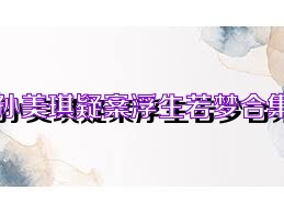 孙美琪疑案浮生若梦合集