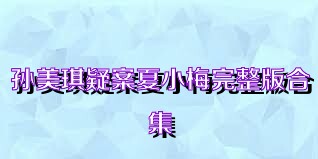孙美琪疑案夏小梅完整版合集