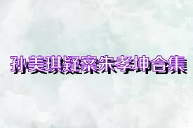 孙美琪疑案朱孝坤合集