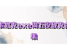 索尼克exe周五夜放克合集