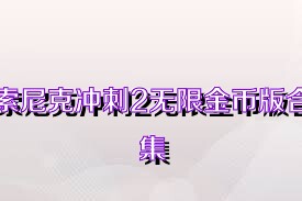 索尼克冲刺2无限金币版合集