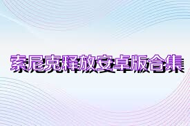 索尼克释放安卓版合集