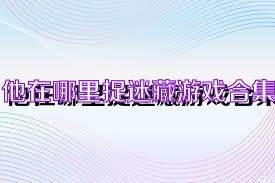 他在哪里捉迷藏游戏合集