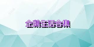 企鹅生活合集