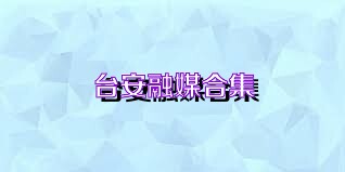 台安融媒合集