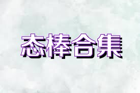 态棒合集