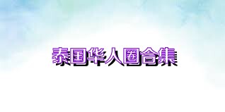 泰国华人圈合集