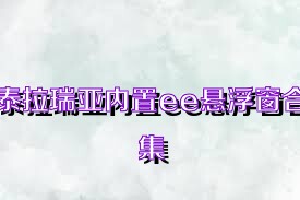 泰拉瑞亚内置ee悬浮窗合集